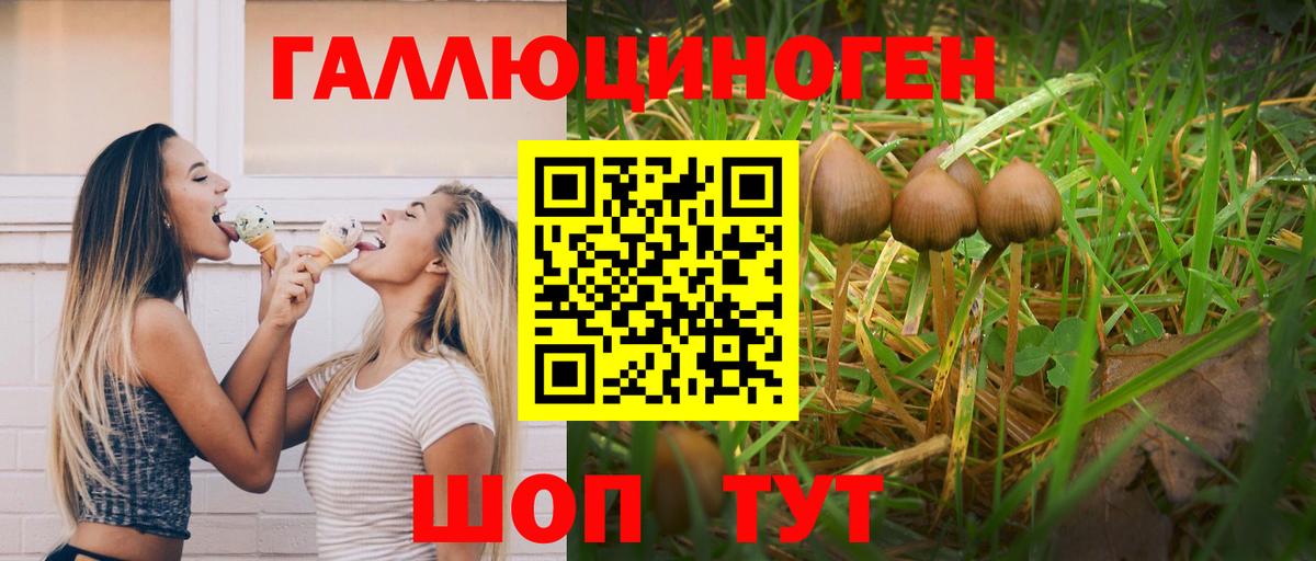 Галлюциногенные грибы ЛСД Апатиты